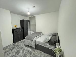 1 dormitorio con 1 cama y vestidor en Blue Rain 3, en Liverpool