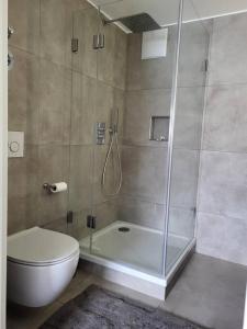 a bathroom with a shower and a toilet and a tub at ammersee apARTment Dießen in Dießen am Ammersee