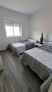 a bedroom with two beds and a window at Campo tranquilo para desconectar in Alicante