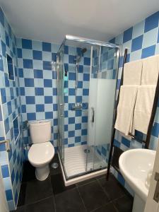 ein blau gefliestes Bad mit einem WC und einer Dusche in der Unterkunft Lisbon Lovers in Lissabon