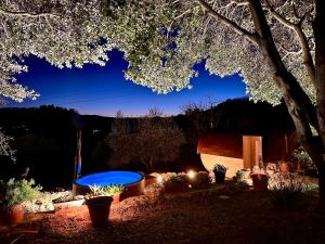 un patio trasero por la noche con bañera de hidromasaje y plantas en Montebello degli Olivi en Chiusi