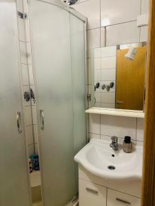 a bathroom with a sink and a shower at Apartman Dobrinja 1 in Sarajevo