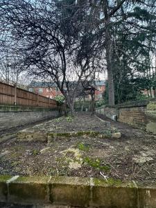 a tree sitting in the middle of a park at Halloway Guest Studio 54 in London