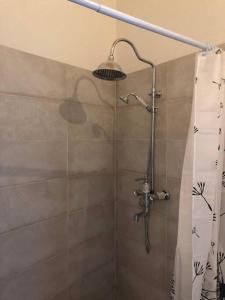 a shower with a shower curtain and a shower head at palazzo piazza centrale in Bagnacavallo