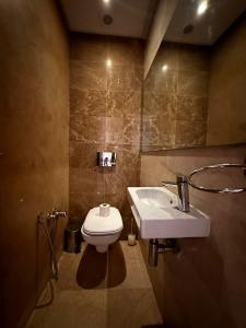 a bathroom with a toilet and a sink at Joli S2 a la Marsa in La Marsa