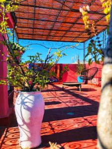 梅克內斯的住宿－里亞德扎拉阿爾伊斯梅利亞住宿加早餐旅館，天井上一个种有植物的大白花瓶
