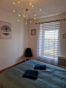 1 dormitorio con cama, lámpara de araña y ventana en Appartement Montceau-Les-Mines, en Montceau-les-Mines