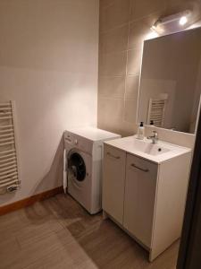 y baño con lavadora y lavamanos. en Appartement Montceau-Les-Mines, en Montceau-les-Mines