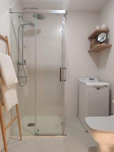 een badkamer met douche en toilet bij Residencial Progreso Sanxenxo in Sanxenxo