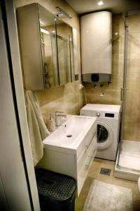 uma casa de banho com um lavatório e uma máquina de lavar roupa em Irina Lux Apartment em Negotin