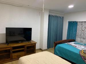 Alojamiento familiar, habitación o departamento في إكيكي: غرفة نوم بسرير وتلفزيون بشاشة مسطحة