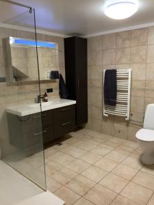 uma casa de banho com um WC e uma cabina de duche em vidro. em Stay Iceland apartments - S 24 em Garðabær