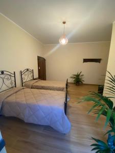 a bedroom with two beds and a potted plant at SUTTA L'ARCHI in Alia +9 photos