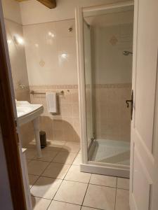 een badkamer met een douche en een wastafel bij LA FERME JARLAN in Berganty