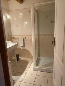 a bathroom with a shower and a sink at LA FERME JARLAN in Berganty +7 photos