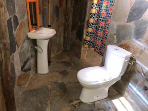 a bathroom with a toilet and a sink at REFUGE du MONT AGOU 