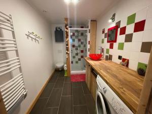 a bathroom with a washer and dryer in a room at L’appart du centre in Le Biot