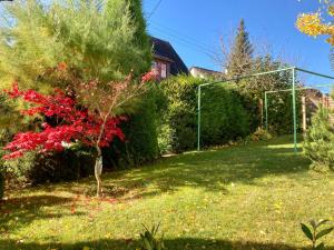 a garden with a red tree in a yard at Naturnahe und perfekt angebundene Altbauwohnung Weinort Hohenhaslach in Sachsenheim