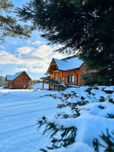 a log cabin in the snow with trees at Bieszczadzkie Dworki Ropienka Dolna in Ustrzyki Dolne