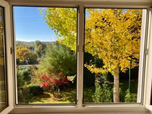 Komforthaus Gartenfreude في ساشسينهايم: اطلالة نافذة على شجرة مع اوراق صفراء +9 صور