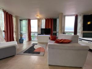 TV a/nebo společenská místnost v ubytování PENTHOUSE SEASIDE 10 MIN port, croisière et aéroport