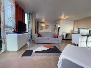 Sjónvarps- og/eða afþreyingartæki á PENTHOUSE SEASIDE 10 MIN port, croisière et aéroport