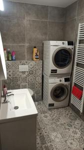 een badkamer met een wasmachine en een wastafel bij Apartmány Volavka in Planá nad Lužnicí