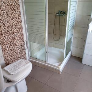a bathroom with a shower and a toilet with a glass shower at Good Vibes - Lagos Guesthouse in Lagos