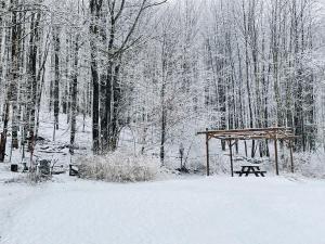 Livingston ManorCozy Cottage with Jacuzzi and Fire Pit and Reading Nook!的森林雪地中的野餐桌