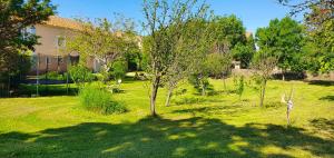 Zahrada ubytování Maison charmante à Narbonne avec piscine et jardin