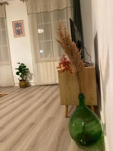 eine grüne Vase mit Pflanze in einem Raum in der Unterkunft A22 - Les Cosy De Nancy - Le bohème chic 4* in Nancy