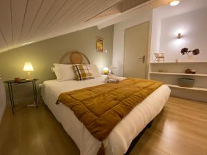 ein Schlafzimmer mit einem großen Bett mit einer braunen Decke in der Unterkunft A22 - Les Cosy De Nancy - Le bohème chic 4* in Nancy