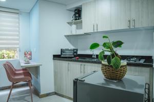 una cucina con una pianta sopra un frigorifero di HELICONIA Enjoy new comfortable studio apartment with terrace a Cali