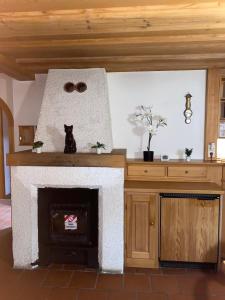 a fireplace with a cat sitting on top of it at Ferienhaus Almenland in Arzberg