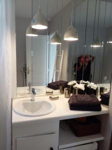 a bathroom with a sink and a person in a mirror at Carambola Résidence, Ocean View in Cul de Sac +35 photos