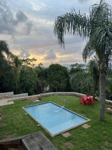 una piscina en un patio con una palmera en Natural Forest en Praia do Rosa