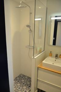 uma casa de banho com um chuveiro e um lavatório. em Le Burlat - Studio - Lyon - Tassin em Tassin-la-Demi-Lune