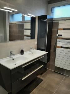 ein Bad mit einem Waschbecken und einem Spiegel in der Unterkunft Logement tout confort Albi in Albi