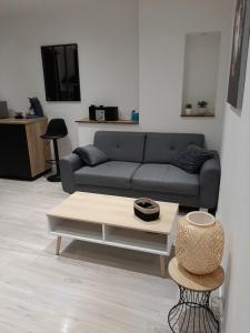 ein Wohnzimmer mit einem Sofa und einem Couchtisch in der Unterkunft Logement tout confort Albi in Albi