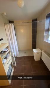 a bathroom with a toilet and a shower at Cheerful 3 bedroom country farm house in Ennis
