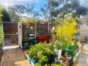 a garden with a wooden fence and some plants at Nelson Apartment - 2 Bedroom 2 Bathroom in Sandy Bay