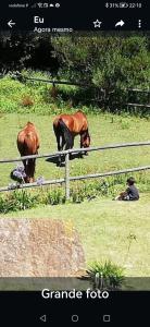 Foto dalla galleria di T1 na Casa da Quinta S José a Praia de Mira