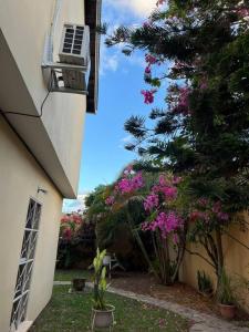 Φωτογραφία από το άλμπουμ του Casa en Comayagua cerca de Palmerola σε Comayagua