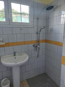 a bathroom with a sink and a shower at Villa yoyo poirier in Sainte-Anne