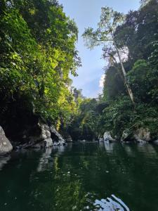 a river in the middle of a jungle at Chalet OCULTO Acceso al Rio Cristalino/Fogata/Hamacas in San Francisco