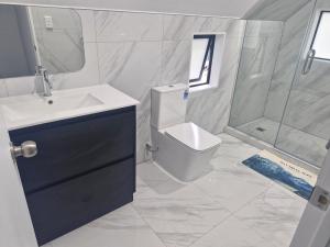 奥克兰Mini Mansion的浴室里有洗手池、马桶和淋浴。