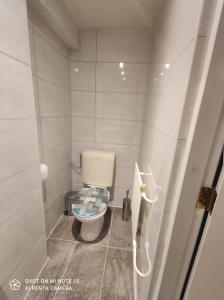 Elle comprend une petite salle de bains blanche pourvue de toilettes. dans l'établissement Studio/huis in Maastricht te huur, à Maastricht