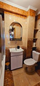 Un baño con inodoro, lavabo y espejo. en Apartment on the San River, en Przemyśl