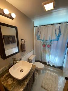 a bathroom with a sink and a deer shower curtain at #2 - The Eagle's Perch in Pauma Valley