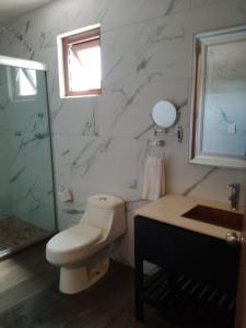 een badkamer met een toilet, een douche en een wastafel bij Mansion Azul Cholula in Cholula